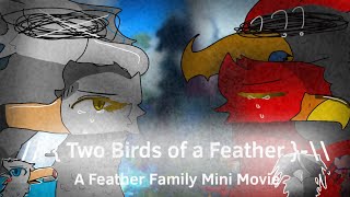 Two Flocks of a Feather  Feather Family Mini Movie [upl. by Rosalind951]