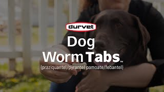 Provide 4Way Protection With Durvet Dog Worm Tabs [upl. by Negah846]