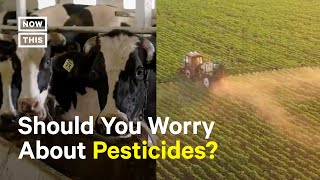 Animal Agriculture Drives Up Pesticide Use — Heres Why [upl. by Glenna]