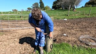 This Gate Keeps Giving Me Shocks Grounding The Strainer Is An Easy Fix [upl. by Giacomo]