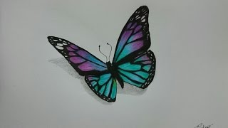 How to Draw a Realistic Butterfly with Colored Pencils [upl. by Ayom]