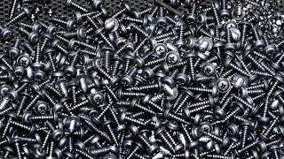 Millions a Day Mass Screw Production Process in China [upl. by Elda520]