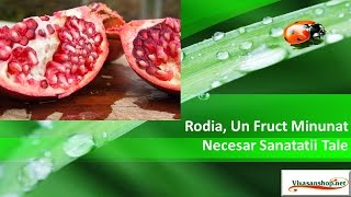 Rodia Un Fruct Minunat Necesar Sanatatii Tale Vivasan Vivasan Romania [upl. by Niatsirk519]