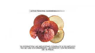 CATAFENI HG Ganoderma Lucidum resfriado defensas remedios [upl. by Silyhp]