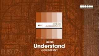 Bream  Understand Original Mix [upl. by Eusoj]