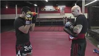 Kickboxing Training  Basic Kickboxing Techniques [upl. by Adele]