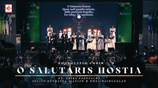 O SALUTARIS HOSTIA  Eriks Esenvalds [upl. by Asirap657]