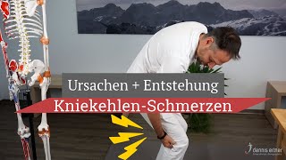 Kniekehlenschmerz  Entstehung und die wahren Ursachen [upl. by Quintin]