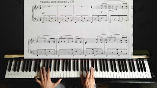 Habanera from quotCarmenquot by Bizet  Piano Tutorial [upl. by Lrak]