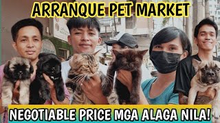 MGA BAGONG DATING ASO AT PUSA SA ARRANQUE PET MARKET TAWARAN NYO NA [upl. by Areehs]