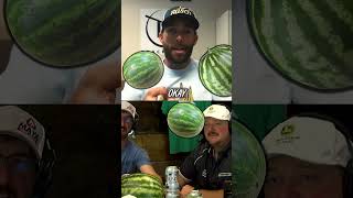 Picking a good Watermelon with Ross Chastain [upl. by Bell]