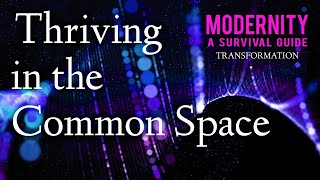 5  Transformation  Modernity A Survival Guide [upl. by Teuton525]