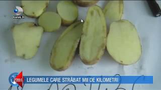 Stirile Kanal D 17042018  De unde vin fructele si legumele pe care le consumam quotCat te costaquot [upl. by Dorwin]