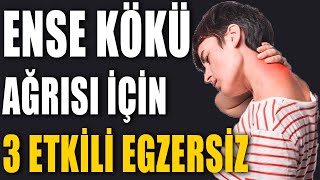 ENSE KÖKÜ AĞRISI İÇİN 3 ETKİLİ EGZERSİZ aktifizyo boyunağrısı fiziktedavi [upl. by Ylra]