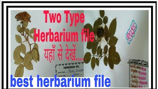 Herbarium file class 12 herbarium file kaise banayecomplete herbarium file 2023 herbarium project [upl. by Sabanrab]