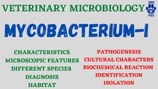 Mycobacterium MicrobiologyBacteriology [upl. by Llennhoj]