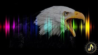 Cinematic Eagle Cry Sound Effect [upl. by Lain]