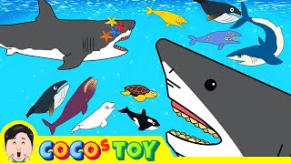 50MinㅣA collection of 5 stories about animals adventure under the seaㅣSea animals for kidsㅣCoCosToy [upl. by Garfield]