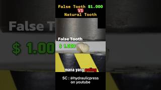 False Tooth 1000 VS Natural Tooth  Who is win [upl. by Oirasor55]