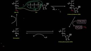 One Carbon Transfers Part 5 of 5  SAdenosylmethionine SAM [upl. by Nort]