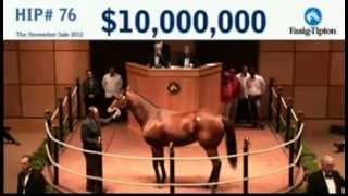 Havre de Grace Sells at Auction [upl. by Mcfadden994]