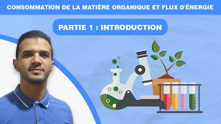 consommation de la matière organique et flux dénergie  partie 1 [upl. by Anoyk980]