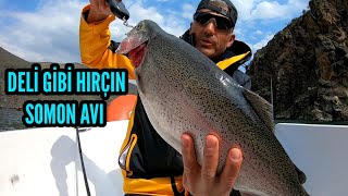 Hırçın Somon Avı Salmon Fishing salmonfishing somonavı [upl. by Ahseyt]