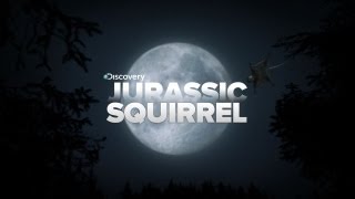 Prehistoric Flying Squirrels Take Flight [upl. by Alyse]