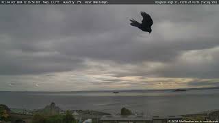 4 October 2024  Kinghorn WeatherCam Timelapse [upl. by Gorrian]