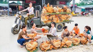 Use 3wheeled Vehicle Harvesting Many Chicken Goes To Market Sell  Take Care Of Animals on My Farm [upl. by Raknahs]