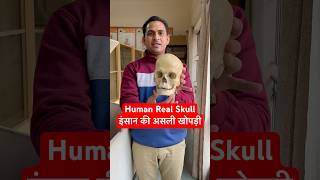 Human Real Skull  इंसान की असली खोपड़ी कैसी होती है viral trending shorts youtubeshorts shots [upl. by Jahdal]