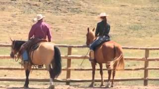 Teach Your Horse to Go Sideways Under Saddle with Pat Parelli [upl. by Norel61]