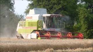 GIACOMINI Trebbia Grano 2013 HD  CLAAS MEGA 202 [upl. by Brookes271]