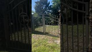 Rockledge Florida Cemetery haunted creepy shorts [upl. by Drarig]