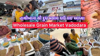 ચલો ઘઉ લેવા 😱Vadodara’s Oldest Wholesale Grain Market Tour🌾Hathikhana  Vadodara Local Market [upl. by Staw]