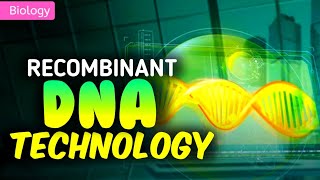 RECOMBINANT DNA TECHNOLOGY  3D ANIMATION  PWNEETWallah [upl. by Debbi]