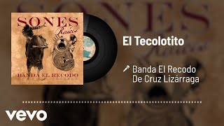 Banda El Recodo De Cruz Lizárraga  El Tecolotito Audio [upl. by Eikin]