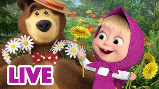 🔴 LIVE Maşa İle Koca Ayı 🌾 Bitkiler ve çiçekler hakkında her şeyi öğrenin 🌻🌱 Masha and the Bear [upl. by Lesli77]