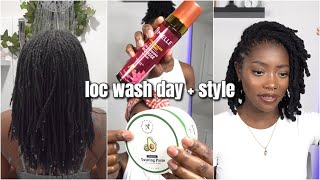 Loc Wash Day  Two Strand Twist Style [upl. by Patin228]