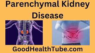 Parenchymal Kidney Disease  Do You Have It  Good Health Tube [upl. by Winthorpe]