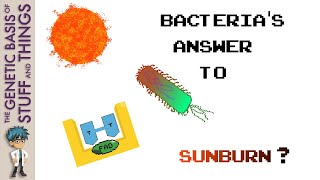 The history and mechanism of photolyase How bacteria recover after sunburn [upl. by Lars770]