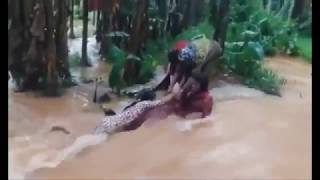 KERALA FLOOD VIDEOS COMPILATIONS INCREDIBLE INDIA donate to kerala [upl. by Phira140]