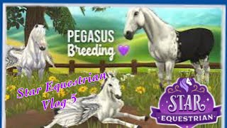 Star Equestrian Vlog 5 Pegasus Breeding Update MariGold Reveal Treasure Map hunting [upl. by Sherborn]