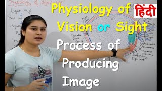 Physiology of Vision  Mechanism of Vision  Internal Physiology of Eye  Parts Functions [upl. by Essila]