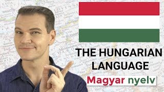 MAGYAR NYELV The Hungarian Language is MINDBLOWING [upl. by Ariait]