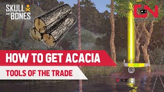 How to Get Acacia in Skull and Bones  Tools of the Trade Quest [upl. by Donella]