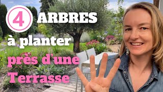 4 arbres à planter près d’une terrasse sans risques avec les racines [upl. by Arenahs353]