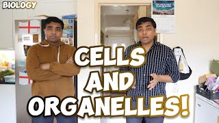 Cells BEST LESSONS EVER gcse cells cellbiology mrroshan [upl. by Natehc788]