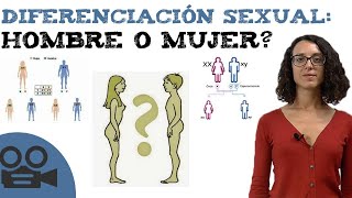 Pilar Sordo  Diferencias entre el hombre y la mujer [upl. by Ximenes683]