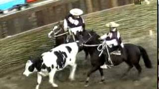 Tercer Animal 58º Campeonato Nacional de Rodeo 2006 [upl. by Francis857]